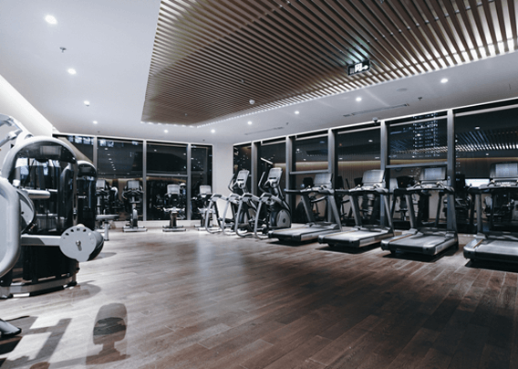 Gyms and Fitness Centers