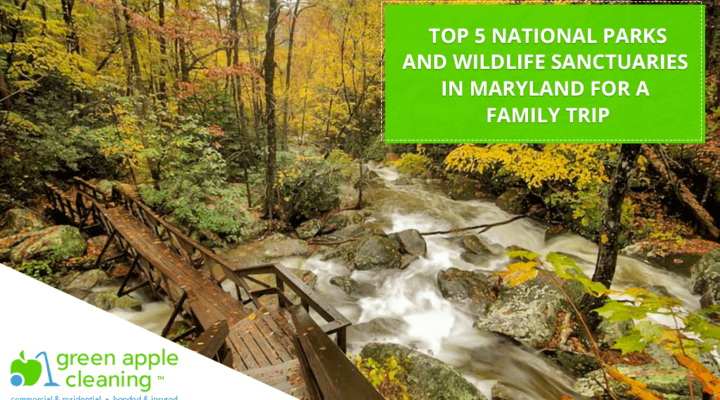 Top 5 National Parks and Wildlife Sanctuaries in Maryland for a Family Trip