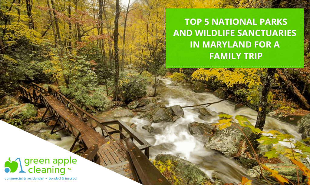 Top 5 National Parks and Wildlife Sanctuaries in Maryland for a Family Trip