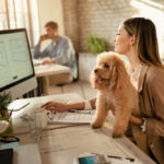 professional janitors in Hillandale, MD