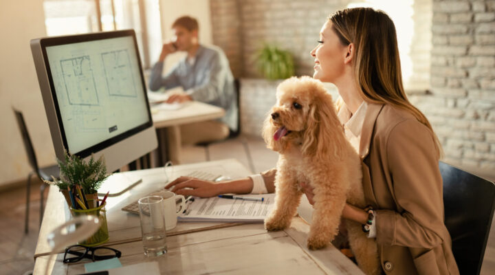 professional janitors in Hillandale, MD